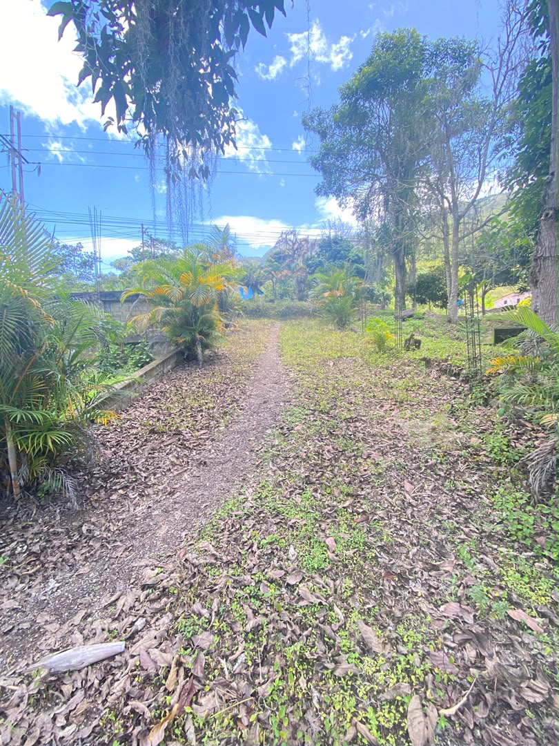 Vía principal La Peña